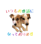 四郎とさくら♥（個別スタンプ：3）