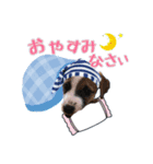 四郎とさくら♥（個別スタンプ：7）