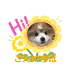 かわいいななちゃん♪（個別スタンプ：3）