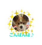 かわいいななちゃん♪（個別スタンプ：5）