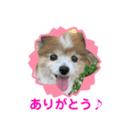 かわいいななちゃん♪（個別スタンプ：8）
