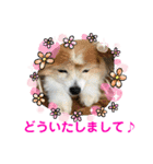 かわいいななちゃん♪（個別スタンプ：9）