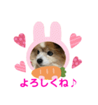 かわいいななちゃん♪（個別スタンプ：11）