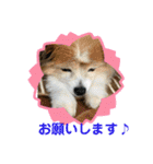かわいいななちゃん♪（個別スタンプ：12）