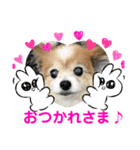 かわいいななちゃん♪（個別スタンプ：13）