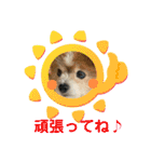 かわいいななちゃん♪（個別スタンプ：14）