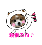 かわいいななちゃん♪（個別スタンプ：15）