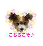 かわいいななちゃん♪（個別スタンプ：16）