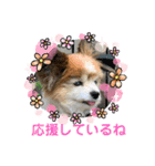 かわいいななちゃん♪（個別スタンプ：20）