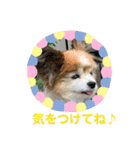 かわいいななちゃん♪（個別スタンプ：21）