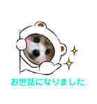 かわいいななちゃん♪（個別スタンプ：25）