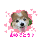 かわいいななちゃん♪（個別スタンプ：28）