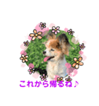 かわいいななちゃん♪（個別スタンプ：33）
