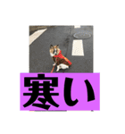 花＆菫花（個別スタンプ：5）