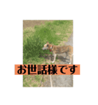 花＆菫花（個別スタンプ：6）