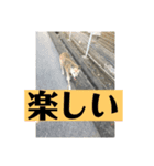 花＆菫花（個別スタンプ：8）
