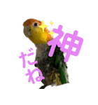 Cちゃんスタンプ 第2弾（個別スタンプ：9）