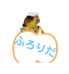 Cちゃんスタンプ 第2弾（個別スタンプ：13）