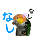 Cちゃんスタンプ 第2弾（個別スタンプ：24）