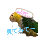 Cちゃんスタンプ 第2弾（個別スタンプ：26）