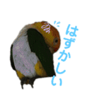 Cちゃんスタンプ 第2弾（個別スタンプ：32）