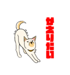 雑種犬スタンプ 白（個別スタンプ：1）