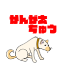 雑種犬スタンプ 白（個別スタンプ：10）