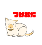 雑種犬スタンプ 白（個別スタンプ：16）