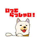 雑種犬スタンプ 白（個別スタンプ：19）