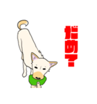 雑種犬スタンプ 白（個別スタンプ：20）