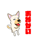 雑種犬スタンプ 白（個別スタンプ：22）