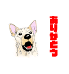 雑種犬スタンプ 白（個別スタンプ：24）