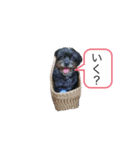 さんちゃんsunchan（個別スタンプ：6）