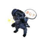 さんちゃんsunchan（個別スタンプ：8）