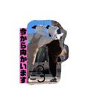 みーふぉspecial（個別スタンプ：1）
