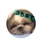 みーふぉspecial（個別スタンプ：5）