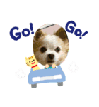 わちスタンプ✨（個別スタンプ：8）