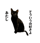 金子家ねこ③(黒猫、さび、キジトラver.)（個別スタンプ：13）