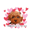 Cherie's stamp2（個別スタンプ：1）