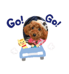 Cherie's stamp2（個別スタンプ：4）