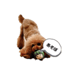 Cherie's stamp2（個別スタンプ：5）