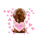 Cherie's stamp2（個別スタンプ：6）