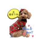 Cherie's stamp2（個別スタンプ：17）