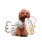 Cherie's stamp2（個別スタンプ：19）