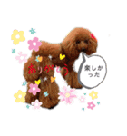 Cherie's stamp2（個別スタンプ：20）