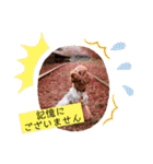 Cherie's stamp2（個別スタンプ：23）