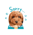 Cherie's stamp2（個別スタンプ：25）