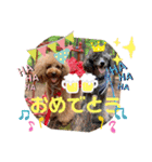 Cherie's stamp2（個別スタンプ：29）