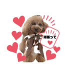 Cherie's stamp2（個別スタンプ：35）