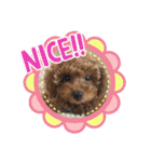 Cherie's stamp2（個別スタンプ：40）